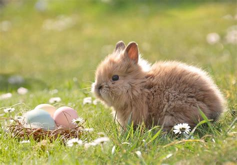 El tiempo de Pascua en Argentina: primeros indicios