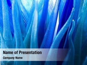 Abstract Blue Wave PowerPoint Templates - Abstract Blue Wave PowerPoint Backgrounds, Templates ...