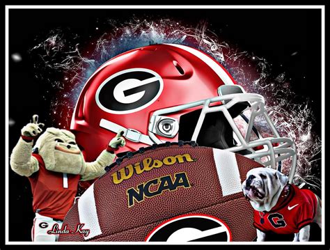 Pin by Sandy Powers on Georgia | Georgia bulldogs, Football helmets ...