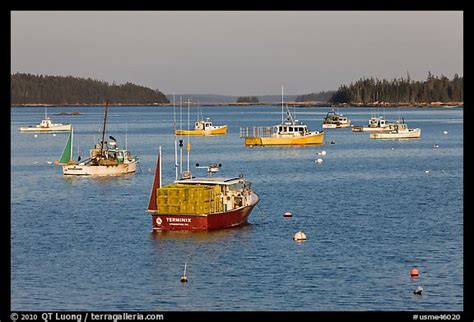 Picture/Photo: Traditional Maine lobster boat. Stonington, Maine, USA