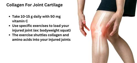 Collagen for Joints: How it Works, Benefits and How to take it