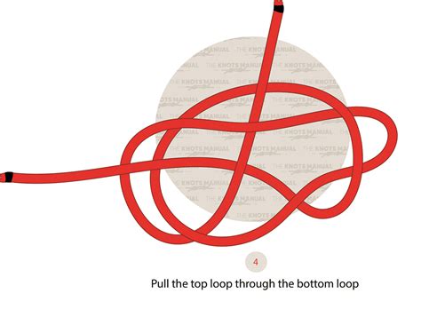 Illustrated Guide: How to Tie a Perfection Loop Knot