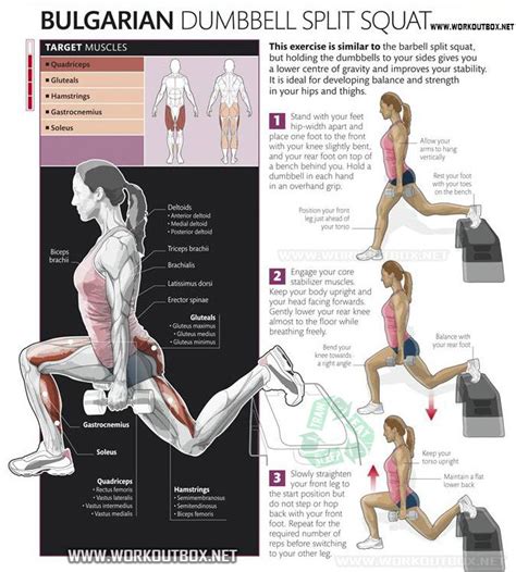 Bulgarian Dumbbell Split Squat - Healthy Fitness Exercise Squats - PROJECT NEXT - Bodybuilding ...