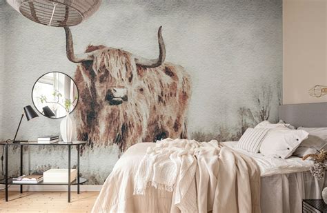 Scottish Highland Cow wallpaper - Happywall