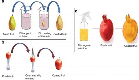 Edible Coating | IntechOpen