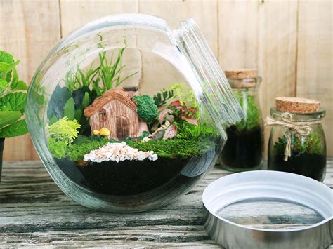 Making A Terrarium In A Bottle