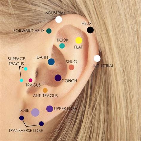 Ultimate Guide: Different Types of Ear Piercings | Facts.net