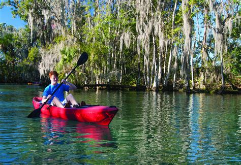 Crystal River Manatees Create Majesty in Kings Bay - Good Sam Camping Blog