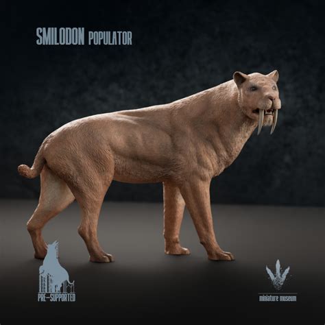 Smilodon | ubicaciondepersonas.cdmx.gob.mx