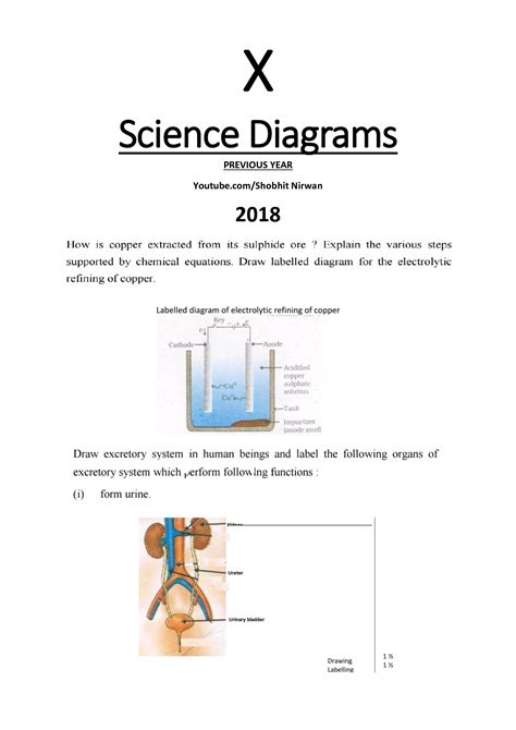 SOLUTION: Class 10 science important diagrams - Studypool