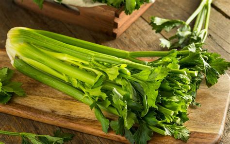 Vegetables That Look Like Celery: Unveil The Surprising Truth - Top Vegetables