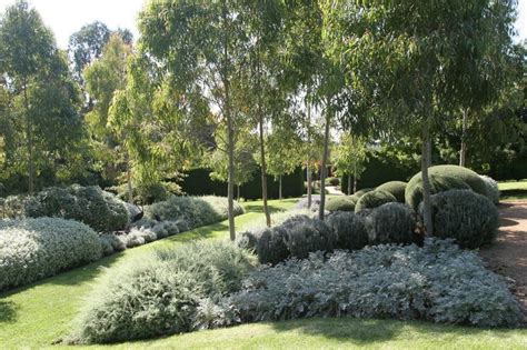 Australian Natives got a bad name thanks to the scruffy gardens of the 1970s, but they're ...