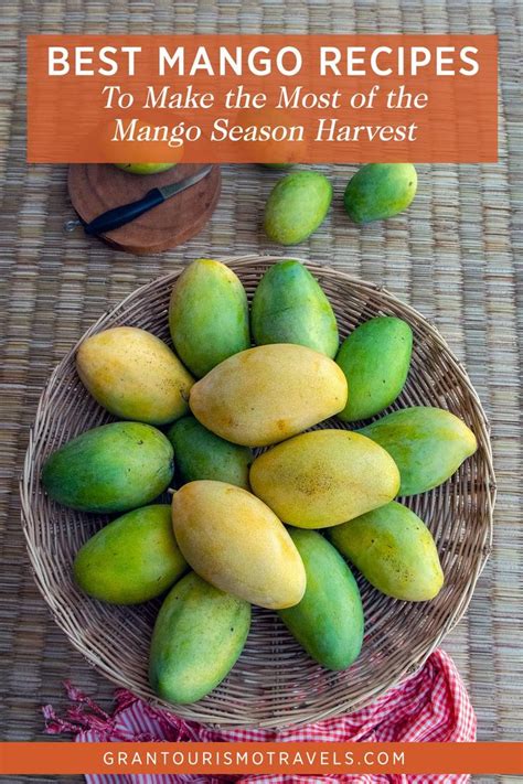 Best Mango Recipes to Make the Most of Mango Season | Mango recipes ...