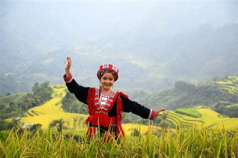 Hoàng Su Phì -Hà Giang mùa lúa chín - miền đất cho những kẻ mộng mơ