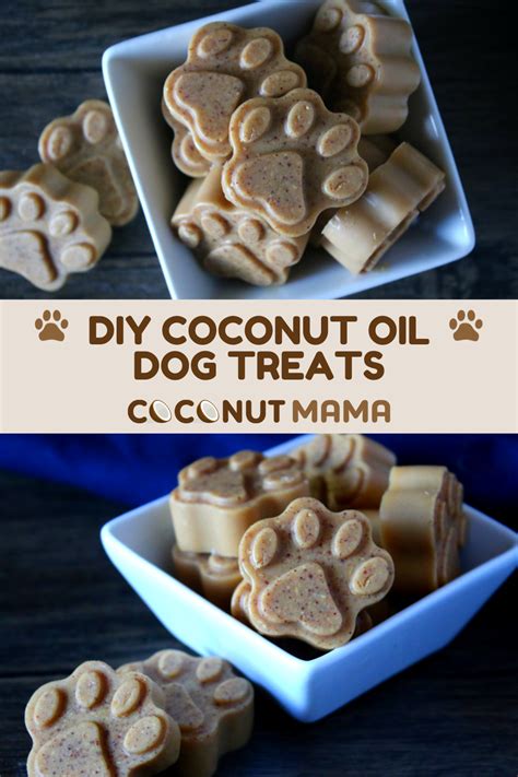 Coconut Oil Dog Treats with Peanut Butter - The Coconut Mama