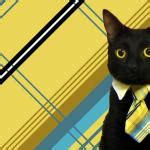 Business Cat Meme Generator - Imgflip