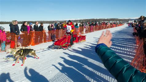 Dog sled racers making their way across Alaska for 43 annual Iditarod ...