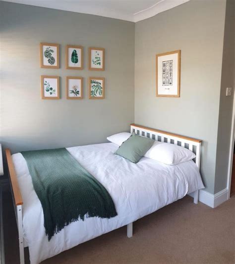 10 Sublime Sage Green Paint Colours to Create a Calming Space in 2023 in 2023 | Sage green ...