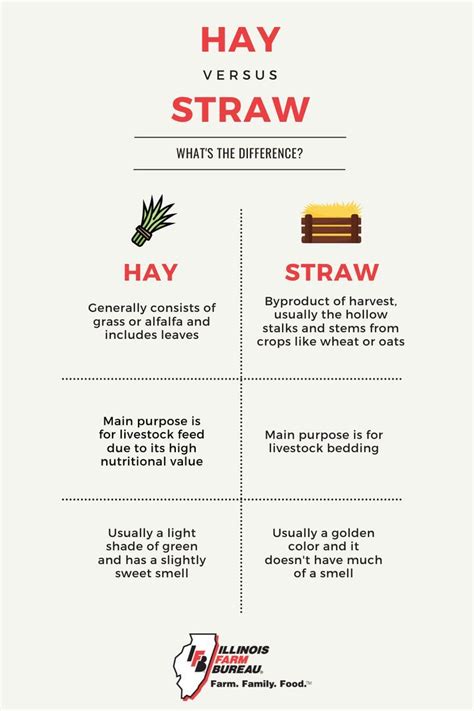 Many people confuse hay with straw. A bale of hay and a bale of straw may look similar and be ...