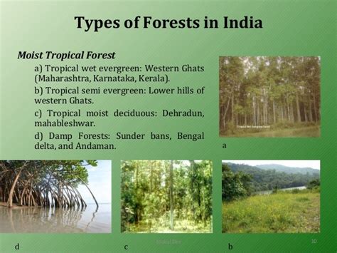 Forest resources of india