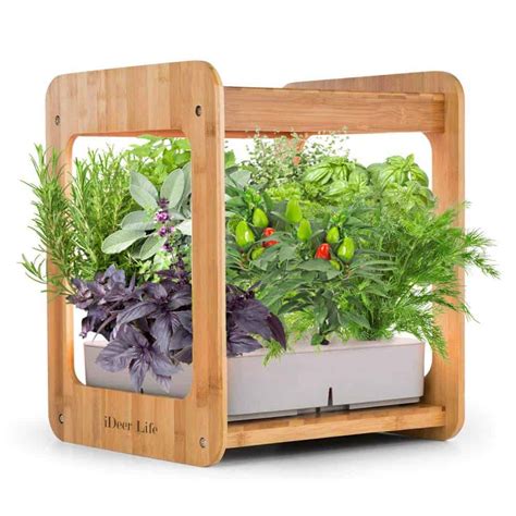 3 Best Indoor Herb Garden Kits of 2022