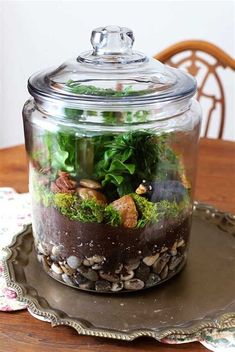 DIY Terrarium: A Woodland Version - House of Hawthornes