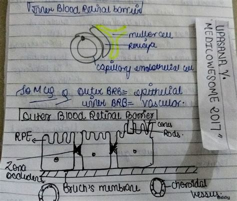 Medicowesome: Blood retinal Barrier