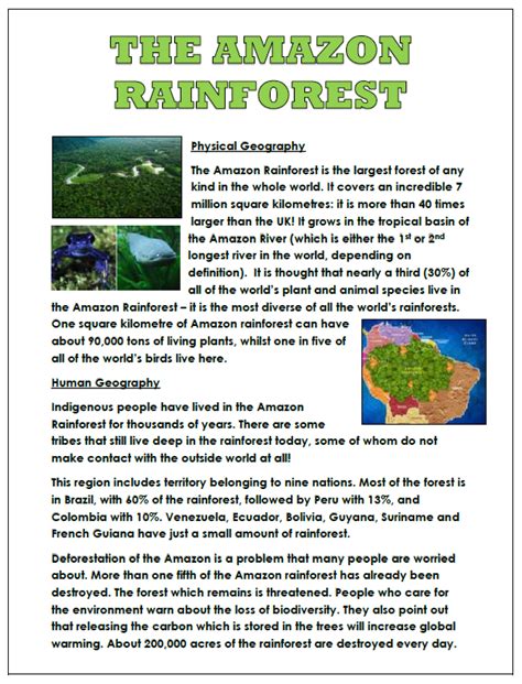 Amazon Rainforest Information Sheet (Physical and Human Geography) | Teaching Resources