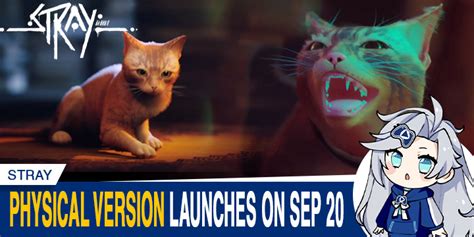 Stray PS5 Physical Version Launches on September 20!