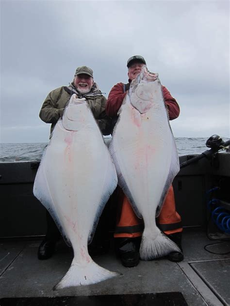 Todds Extreme Fishing: big halibut, big lingcod and big rockfish at ...