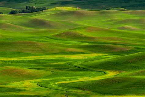 Aerial View Of Palouse Stock Photos, Pictures & Royalty-Free Images ...