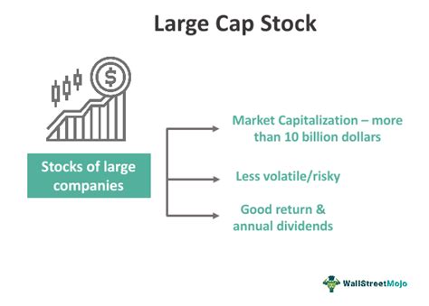 Large Cap Stock - What Is It, Vs Small Cap Stock, Examples