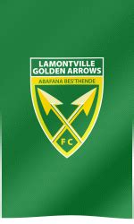 Lamontville Golden Arrows FC Fan Flag (GIF) - All Waving Flags