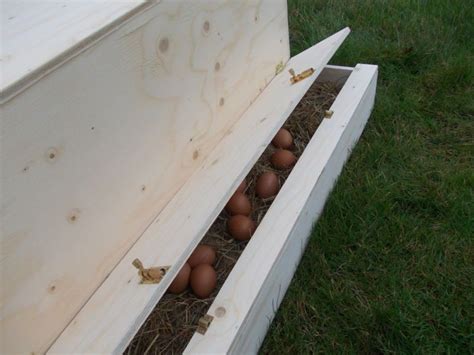 Handmade Chicken Coop / Chicken Nest Box / Hens / Birds / Poultry/ Roll ...