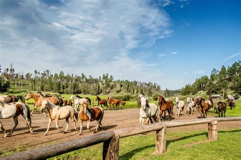 Arizona Dude Ranch Vacation | The Dude Ranchers' Association