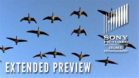 WINGED MIGRATION – Extended Preview – Now on Digital - YouTube