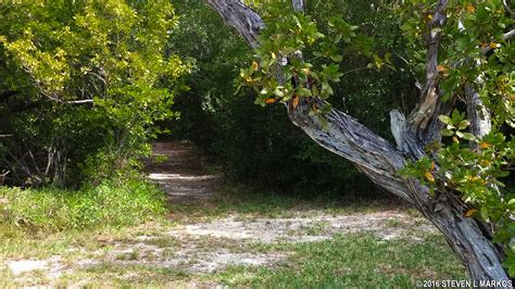 Biscayne National Park | ELLIOTT KEY LOOP TRAIL | Bringing you America, one park at a time