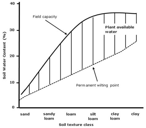 Soil Water Dynamics | Learn Science at Scitable