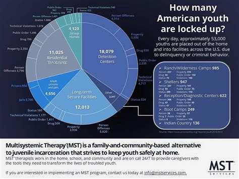 Juvenile Justice Infographics | MST Services