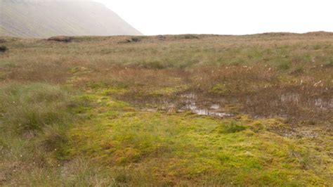 Blanket bog | Yorkshire Peat Partnership