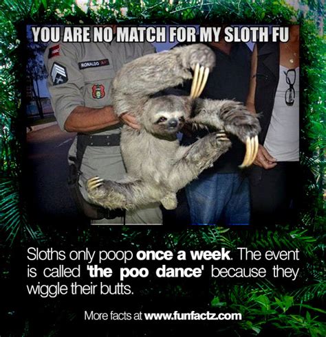 The Sloth Poop Dance