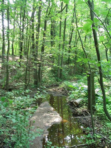 Clay Pit Ponds State Park Preserve. Tu gdzie króluje przyroda.