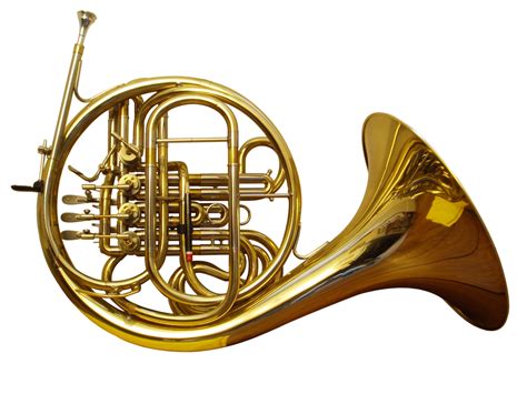 instruments of the orchestra - Google Search | Brass musical instruments, French horn, Trumpet ...