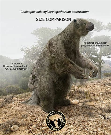 Digital Artist Compares The Size Of Extinct Ancient Animals And Their ...