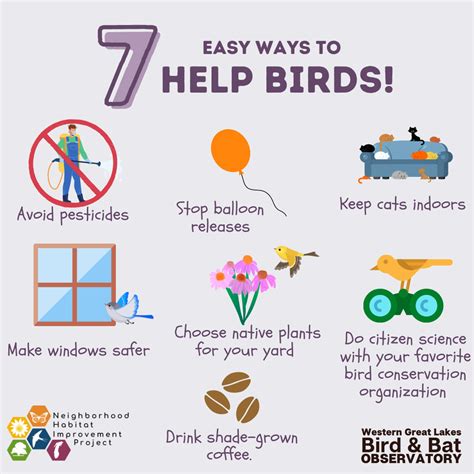 7 Easy Ways to Help Birds – Wisconsin Bird Conservation Partnership