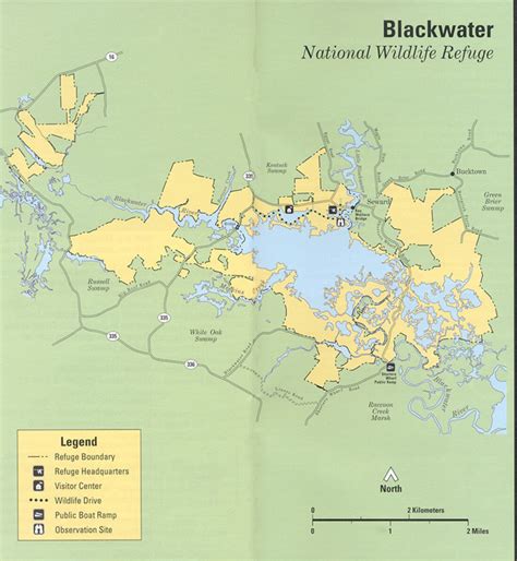 Blackwater National Wildlife Refuge Restoration – Thin-Layer Placement