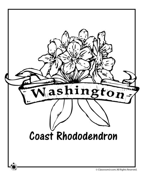 Washington State Flower Coloring Page | Woo! Jr. Kids Activities ...