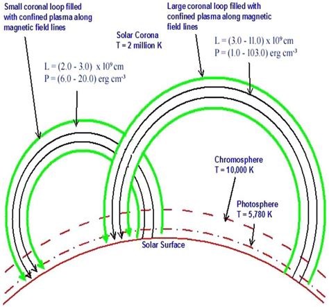 Figure shows the geometry (curvilinear structure of varying loop... | Download Scientific Diagram