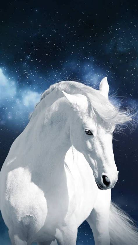 🔥 [20+] Beautiful White Horse Wallpapers | WallpaperSafari