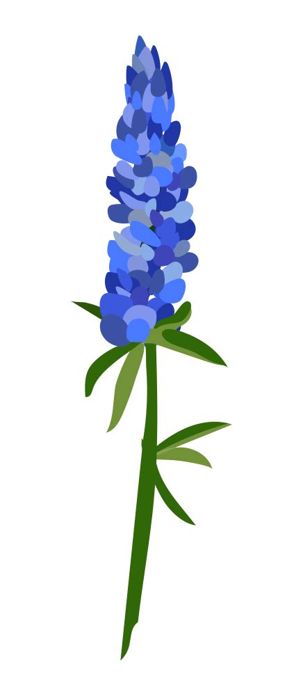 The best free Bluebonnet vector images. Download from 24 free vectors ...